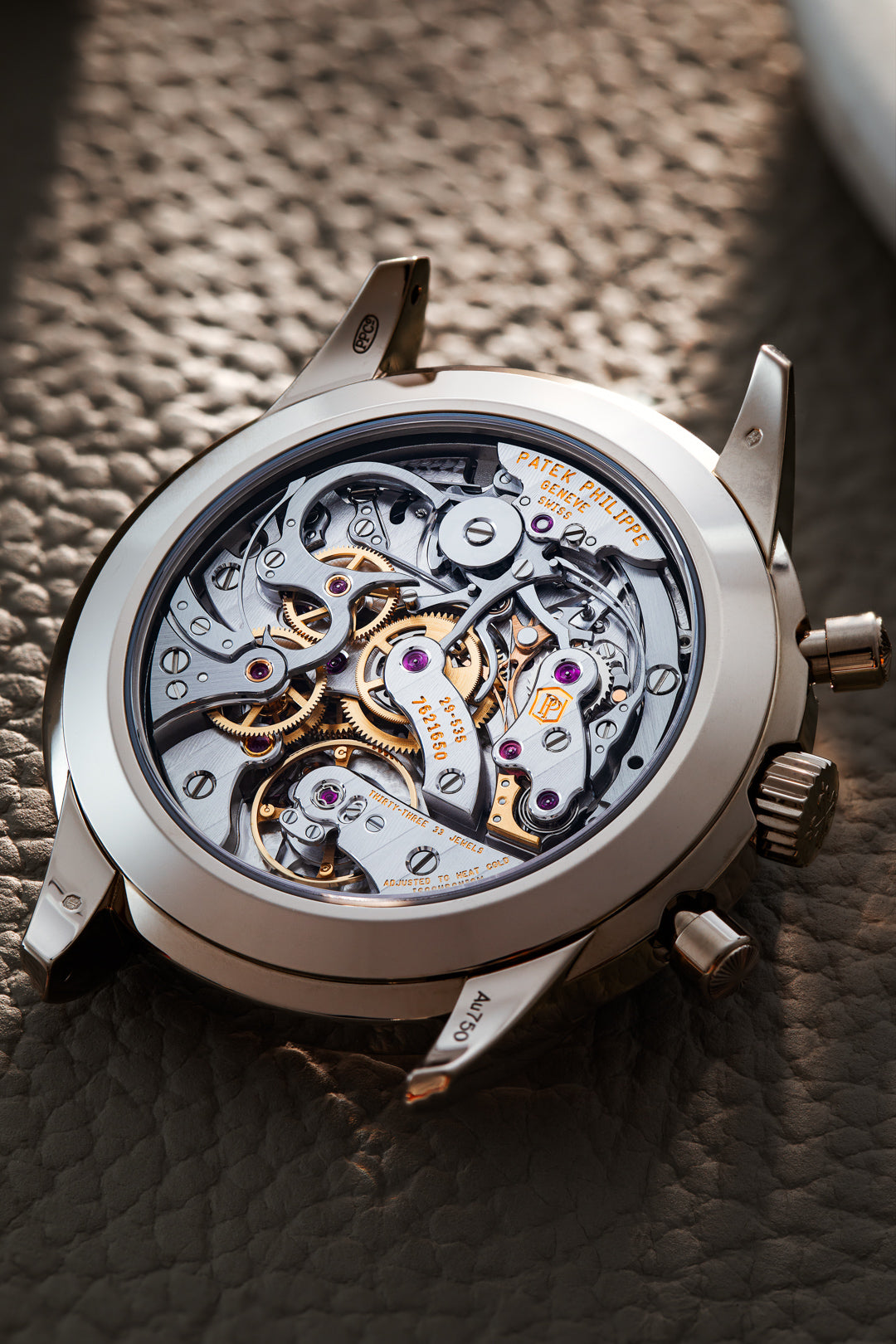 Complications Salmon Dial